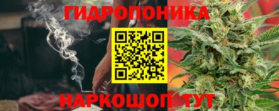 PSILOCYBIN Изобильный