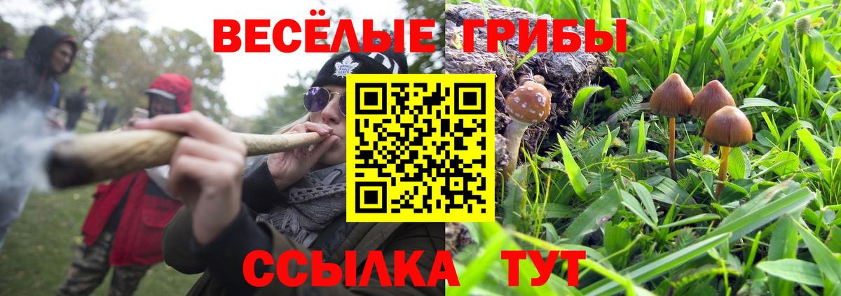 Псилоцибиновые грибы мухоморы Клин