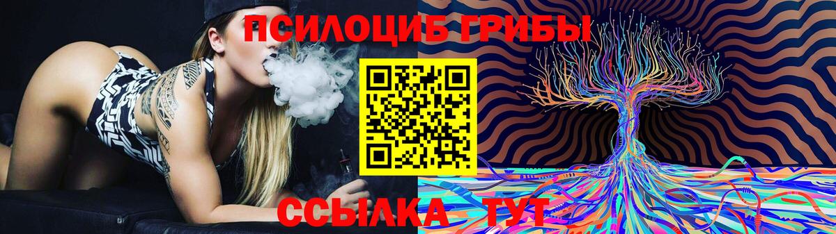 Клин  Псилоцибиновые грибы Psilocybe  Вход с VPN 